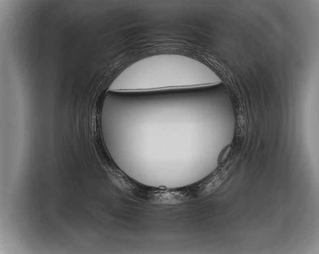 X0000116440379200912081357