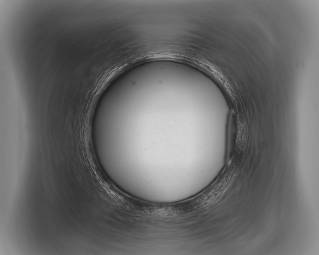 X0000116440385200912081357