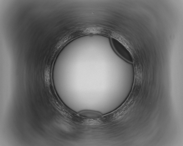 X0000116440386200912081357