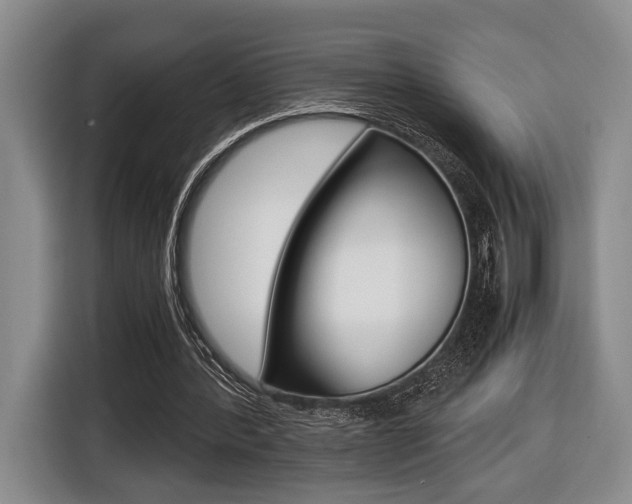 X0000116440388200912081357