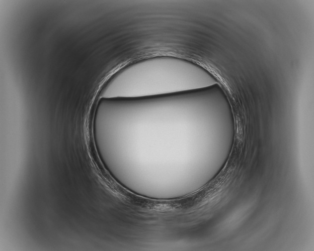 X0000116440390200912081357