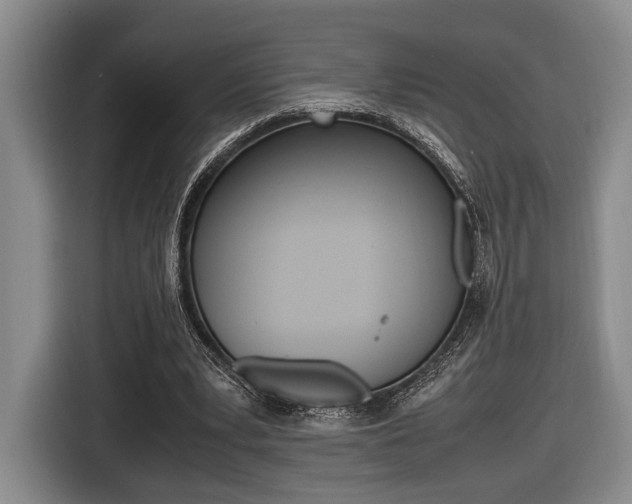 X0000116440391200912081357
