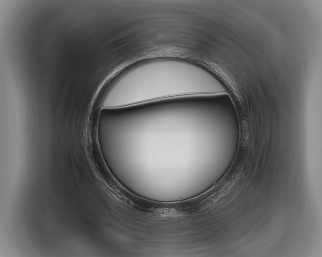 X0000116440392200912081357