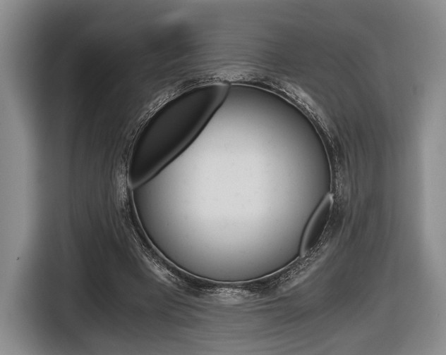 X0000116440393200912081357
