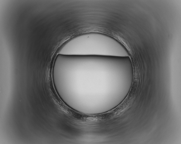 X0000116440394200912081357