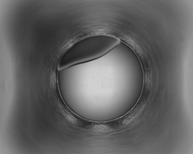 X0000116440397200912081357