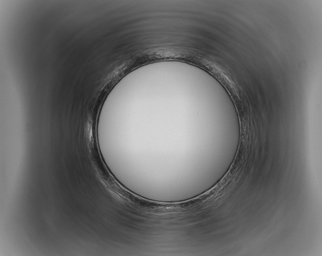X0000116440398200912081357
