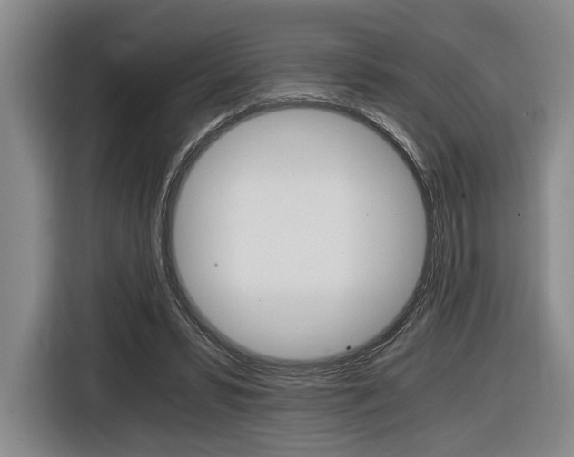 X0000116440399200912081357
