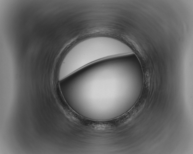 X0000116440400200912081357