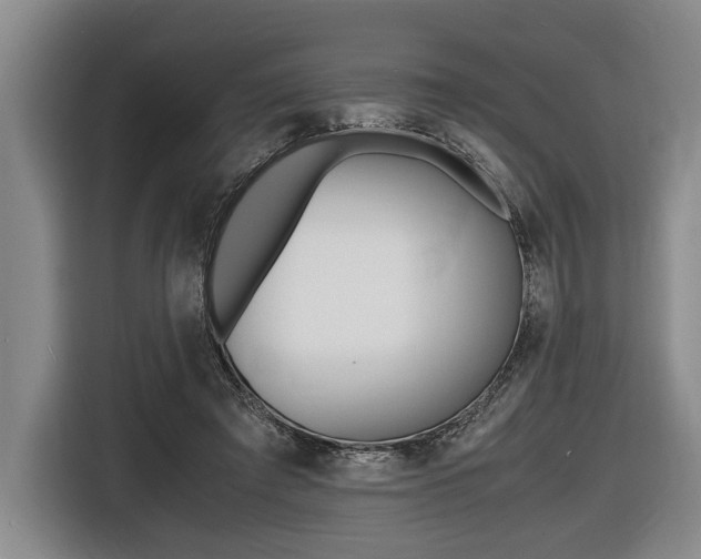 X0000116440401200912081357