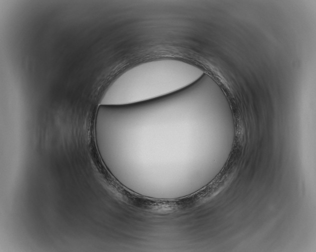X0000116440402200912081357