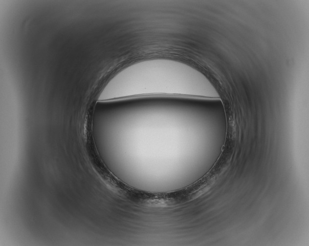 X0000116440404200912081357