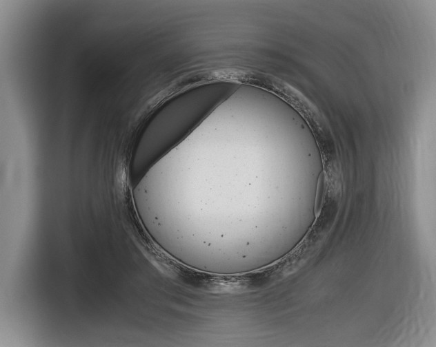 X0000116440405200912081357