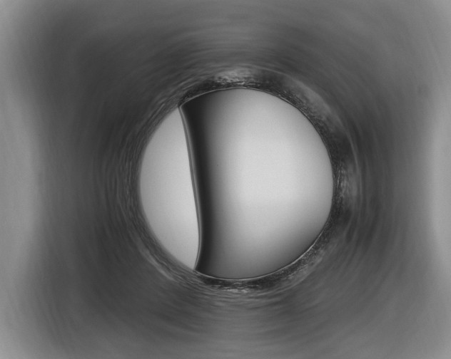 X0000116440408200912081357