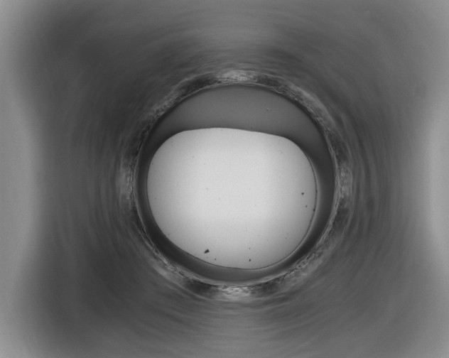 X0000116440409200912081357