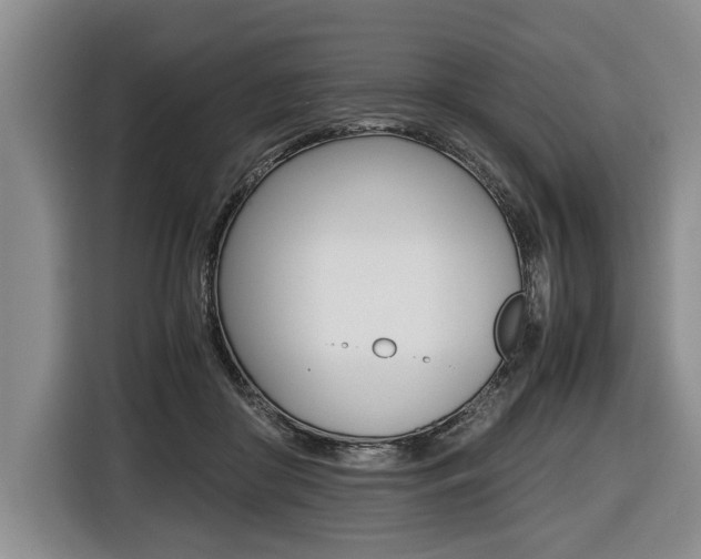 X0000116440410200912081357