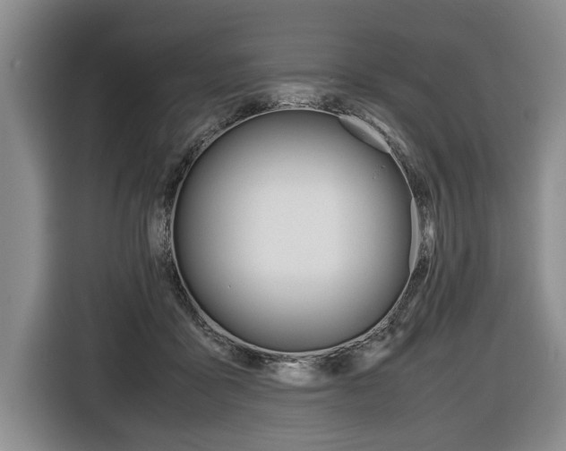 X0000116440411200912081357