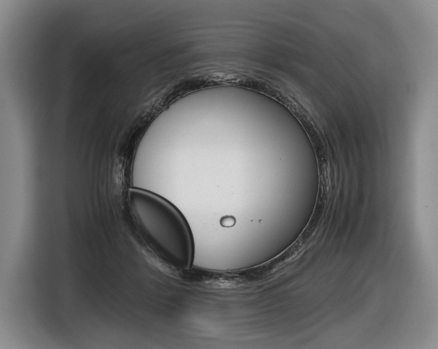 X0000116440412200912081357