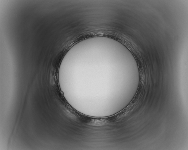 X0000116440414200912081357