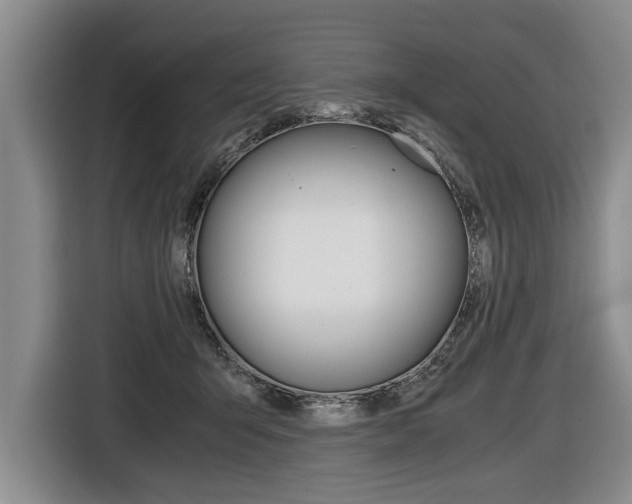 X0000116440415200912081357