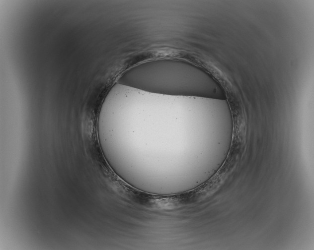 X0000116440417200912081357