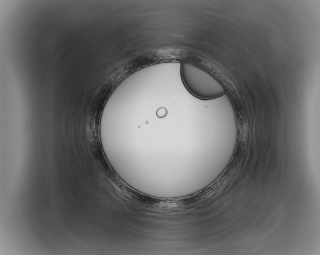 X0000116440418200912081356