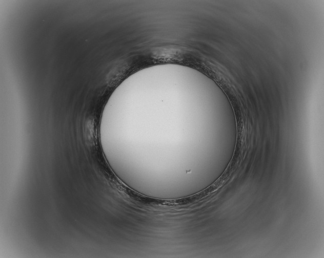 X0000116440420200912081356