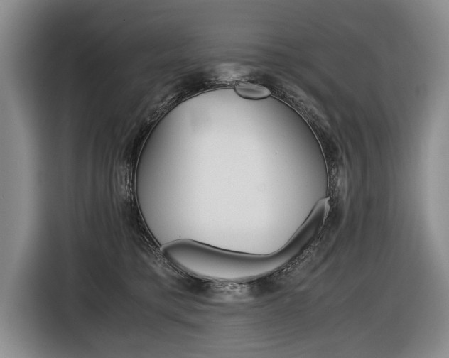 X0000116440421200912081356