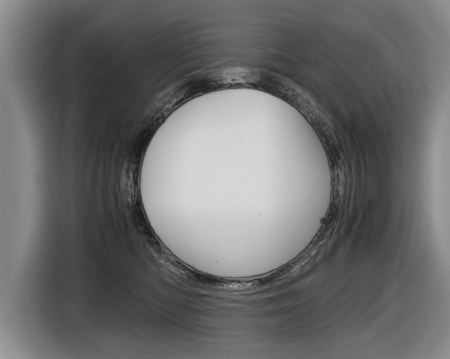 X0000116440422200912081356
