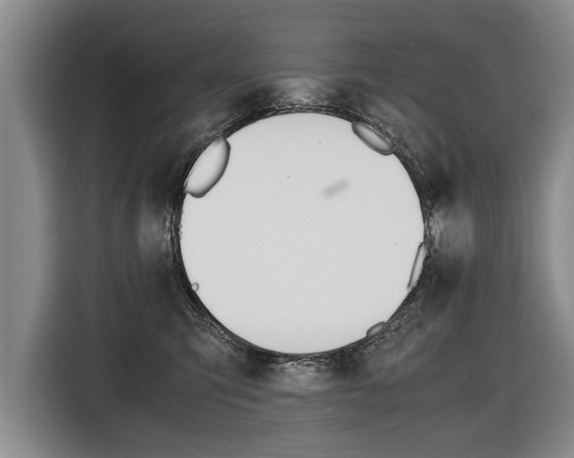 X0000116440423200912081356
