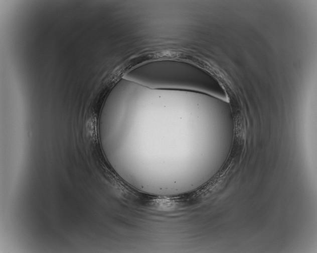 X0000116440425200912081356