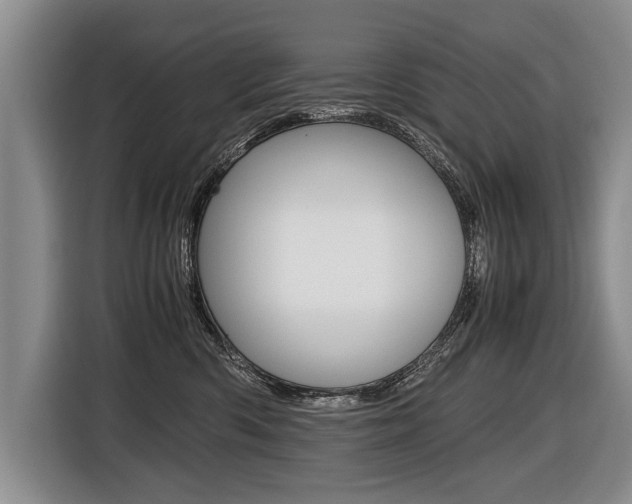 X0000116440426200912081356