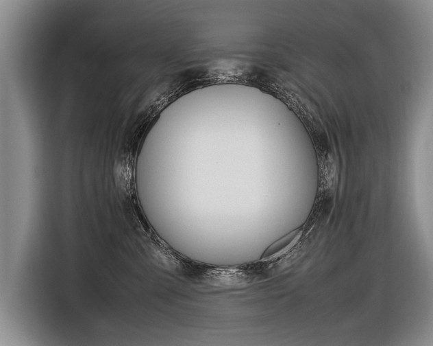 X0000116440427200912081356