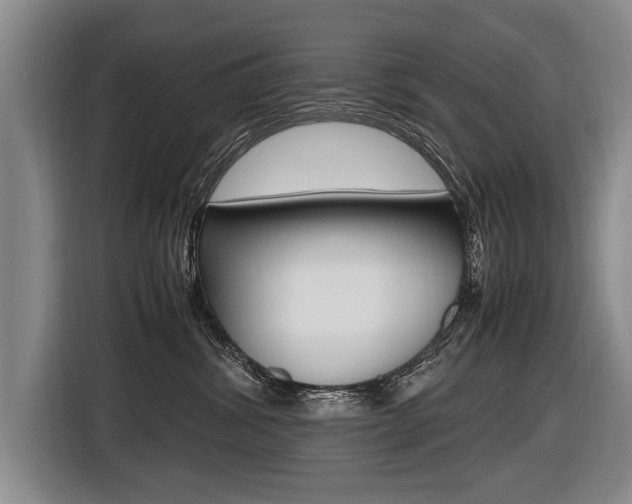 X0000116440428200912081356