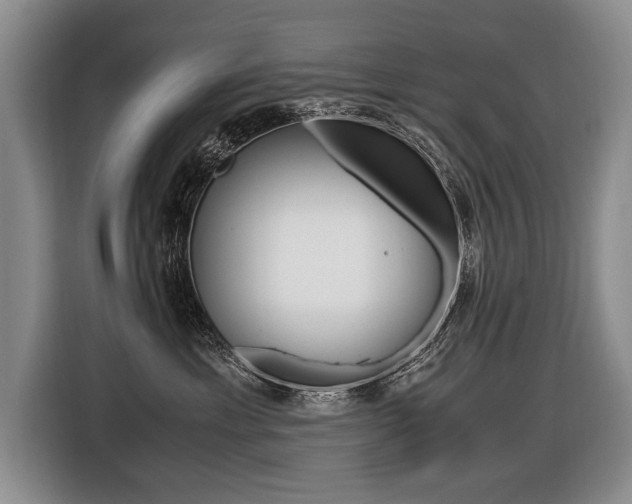 X0000116440429200912081356