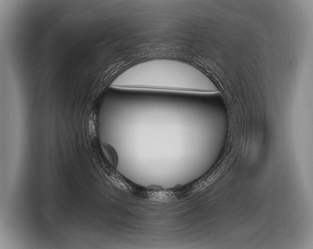 X0000116440432200912081356