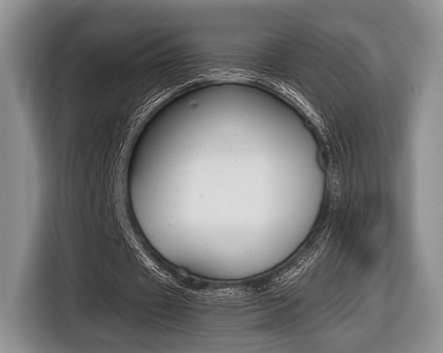X0000116440433200912081356