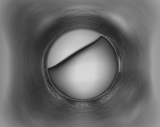 X0000116440435200912081356