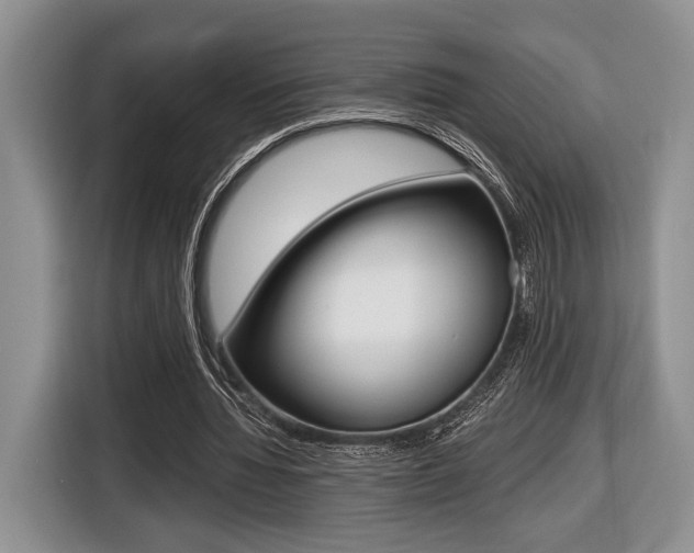 X0000116440436200912081356