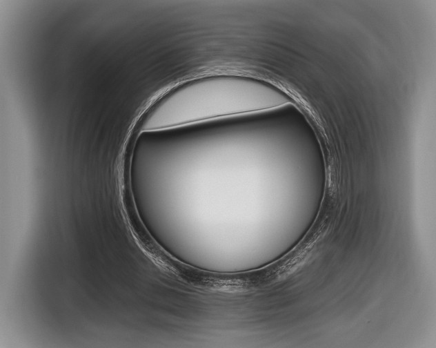 X0000116440438200912081356