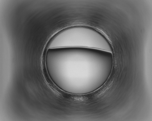 X0000116440439200912081356