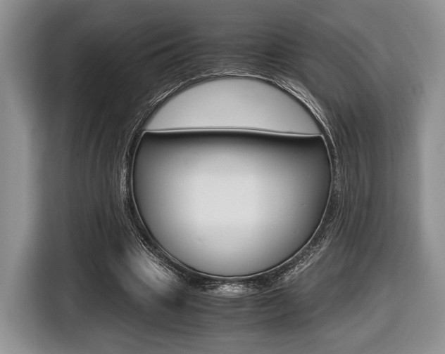 X0000116440441200912081356