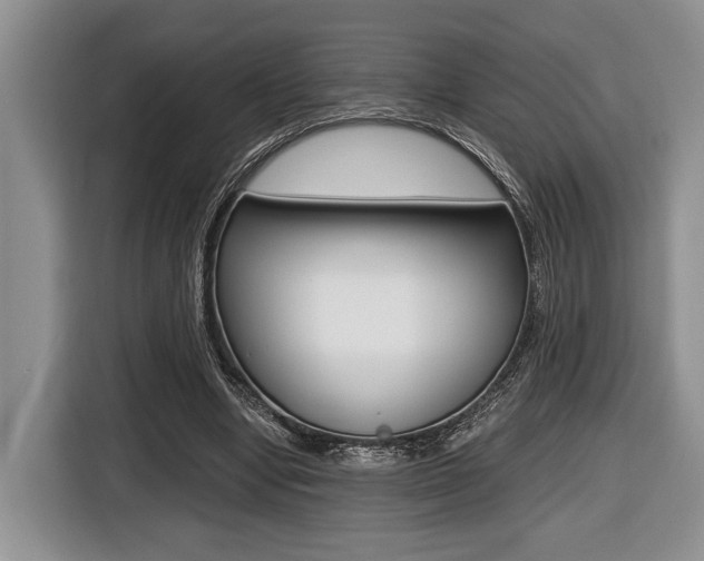 X0000116440442200912081356