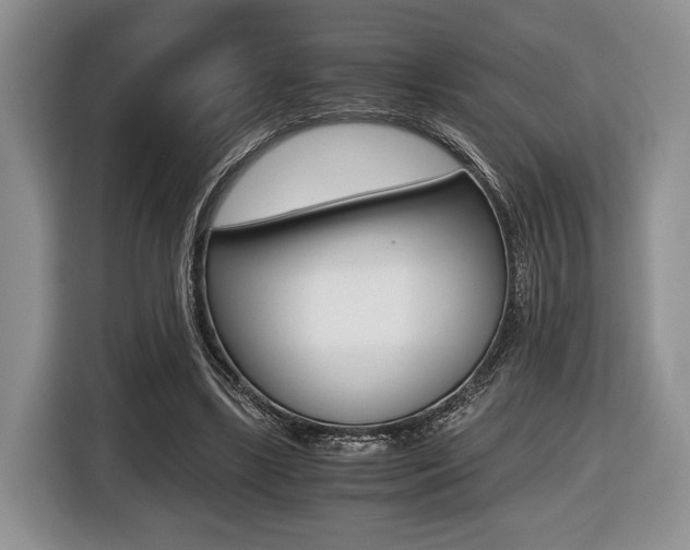 X0000116440443200912081356