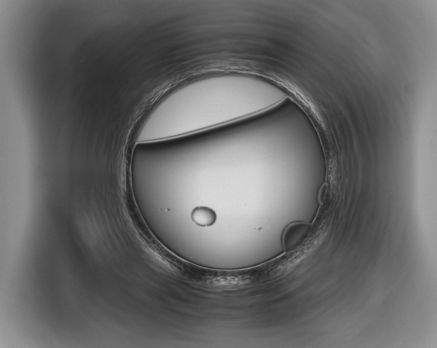 X0000116440445200912081356