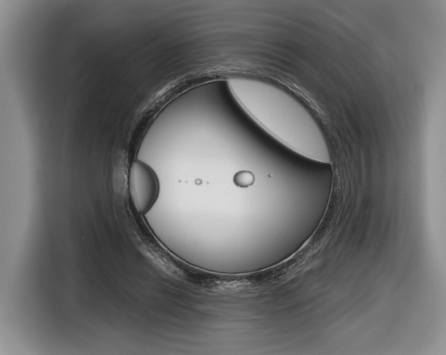 X0000116440446200912081356