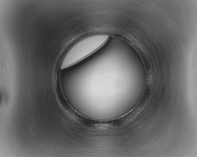 X0000116440448200912081356