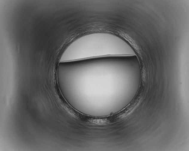 X0000116440449200912081356