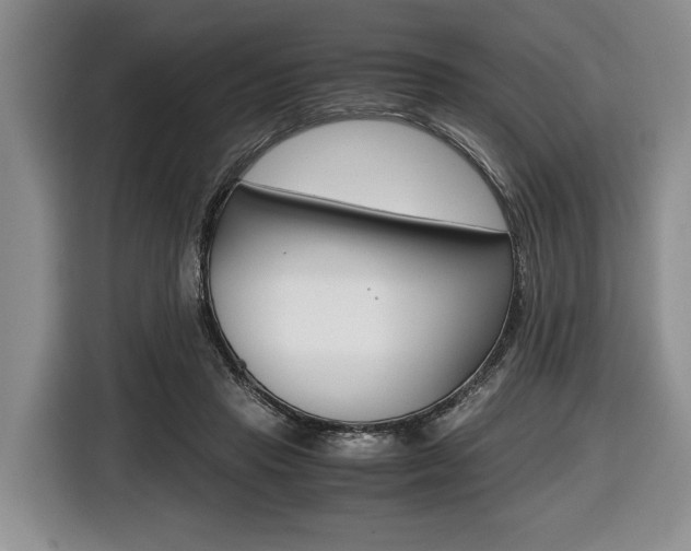 X0000116440453200912081356