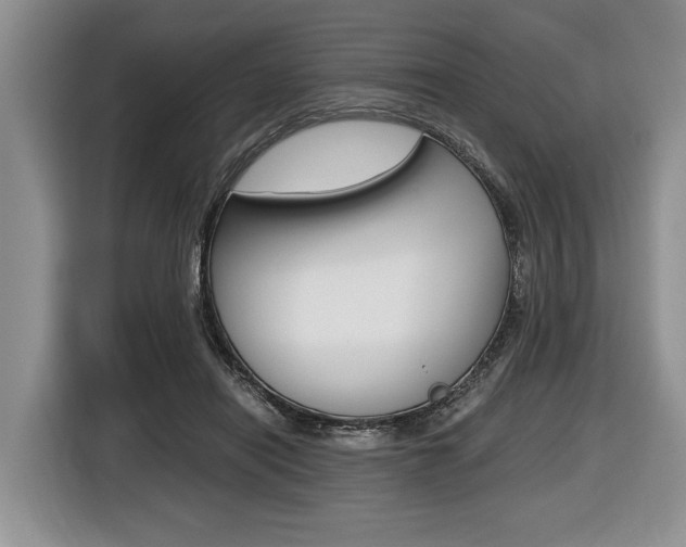 X0000116440454200912081356